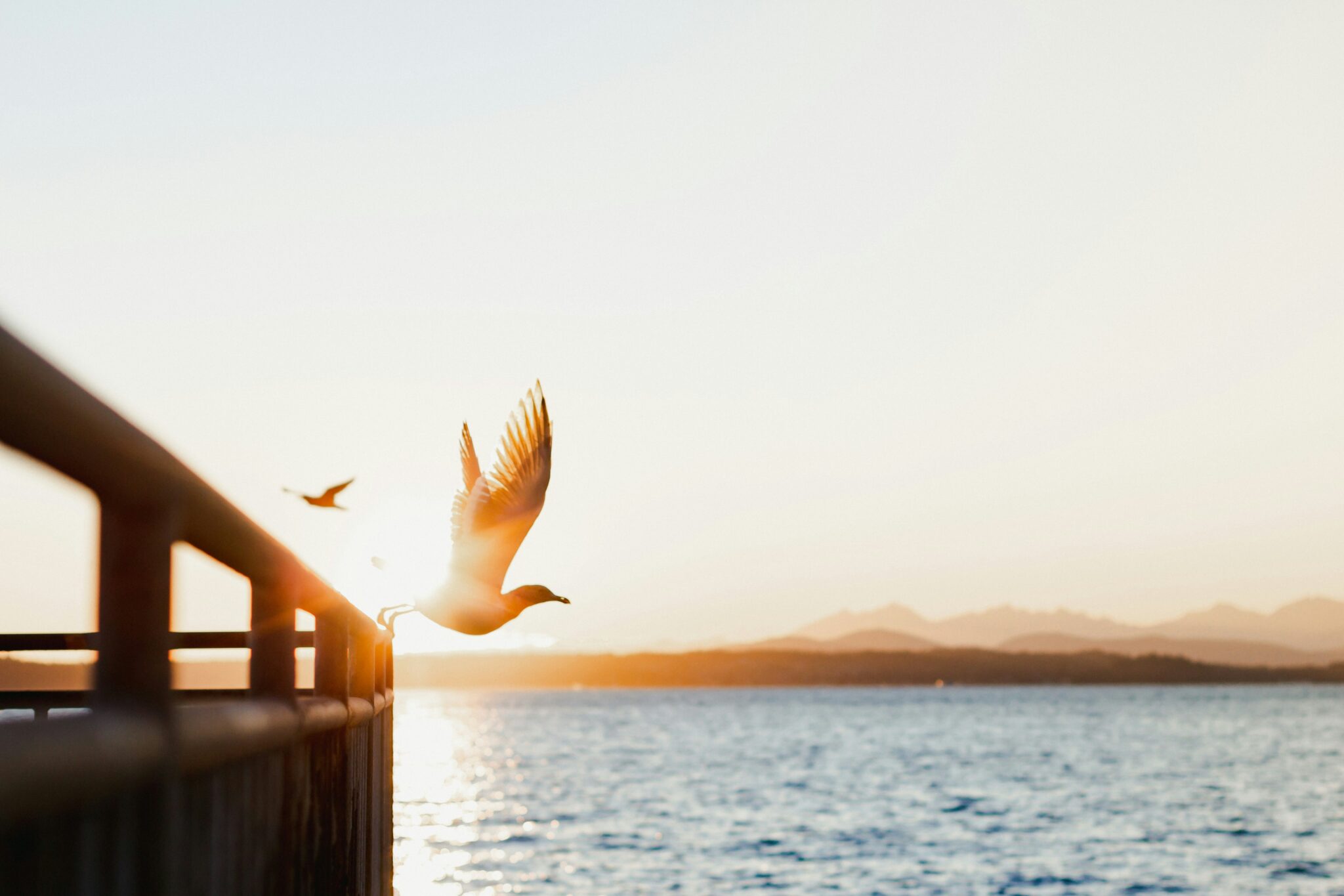 Photo by Diogo Fagundes on Unsplash